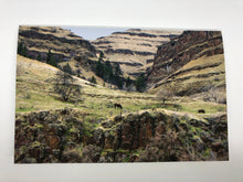 Load image into Gallery viewer, Love From Cowboy Country build-a-gift box