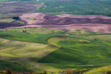 Load image into Gallery viewer, Debbie Lind; D. Lind, PhotoArtisan