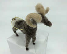 Load image into Gallery viewer, Janet Hohmann